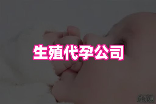 合肥助孕网站 1