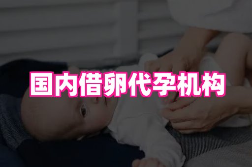 合肥助孕网站 2